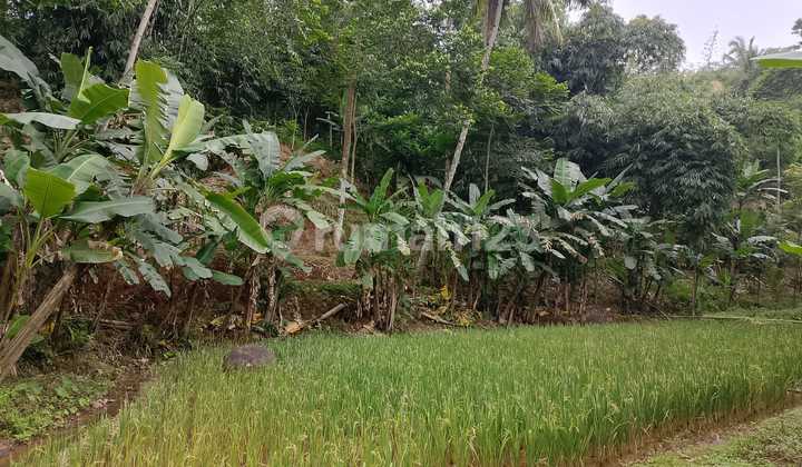 Lahan Asri Dijual dengan Sumber Mata Air - Cocok untuk Villa, Glamping & Slow Living Lahan Asri Dijual dengan Sumber Mata Air - Cocok untuk Villa, Glamping & Slow Living