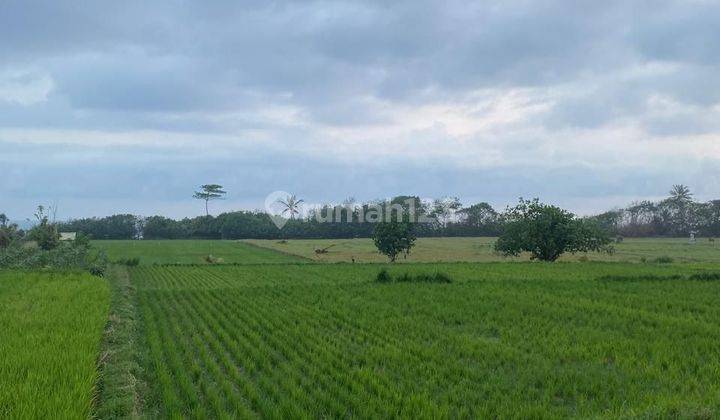 Land Near Pantai Row Jalan 3meter SHM 49.9 are 2