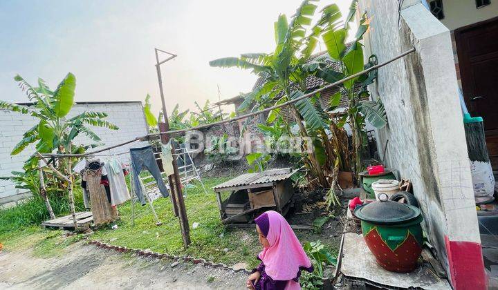 DI  TANAH KAVLING LOKASI SIDOARJO 1