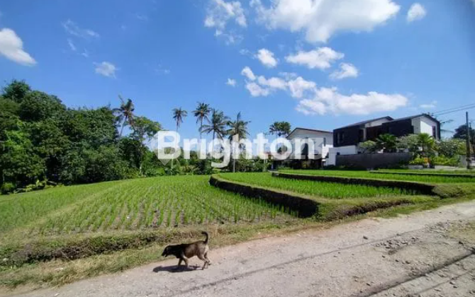 LAND FOR RENT NEAR LUNA BEACH CLUB TABANAN