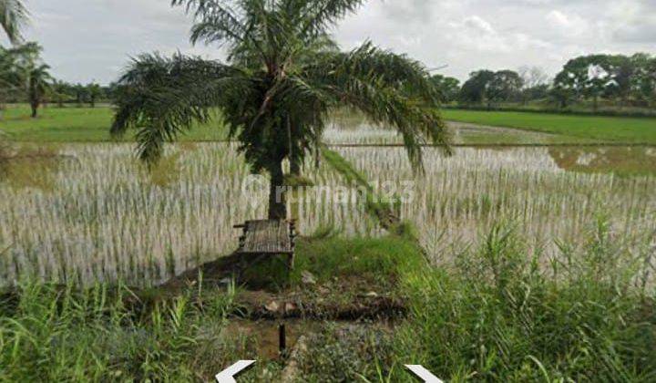 Dijual Lahan Tanah Medan, Dekat Bandara Kualanamu, Lokasi Premium 300 Ha 2