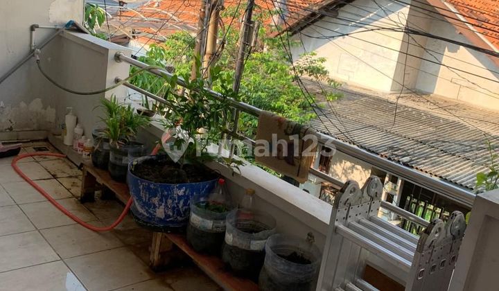 Jual Bu Rumah Latumenten 5X17 Murah Dibawah 2M (Harga 1,9M Nego) Jual Bu Rumah Latumenten 5X17 Murah Dibawah 2M (Harga 1,9M Nego)