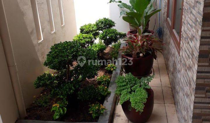 Dijual Rumah Bagus Dan Murah Di Taman Royal  1