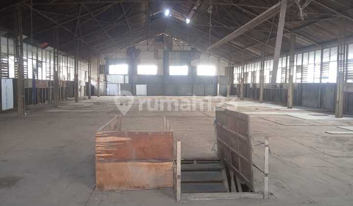 Warehouse in Ancol Lodan Ready to Use Rarely Available Affordable and Festive Warehouse in Ancol Lodan Ready to Use Rarely Available Affordable and Festive