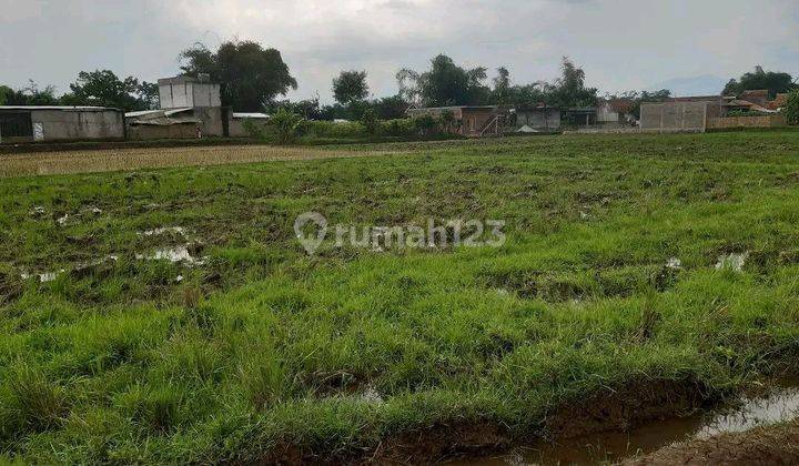 Tanah Murah Cocok Untuk Cluster Ciparay Bandung 1