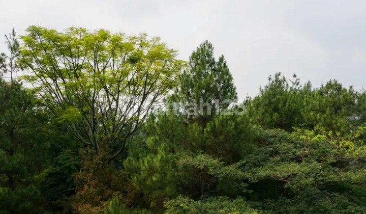 Tanah Murah Siap Bangun di Forest hill Dago Resort Tanah Murah Siap Bangun di Forest hill Dago Resort