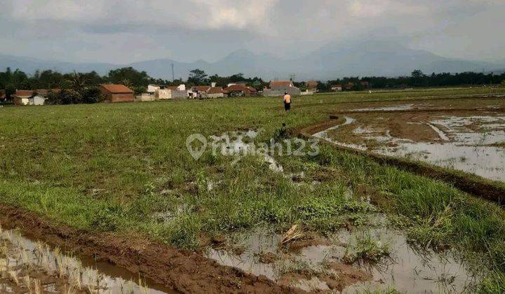 Tanah Murah Cocok Untuk Cluster Ciparay Bandung 2