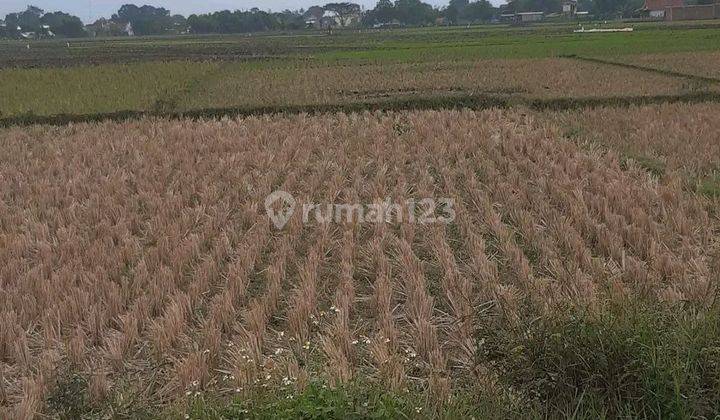 Tanah Murah Cocok Untuk Cluster Ciparay Bandung 2