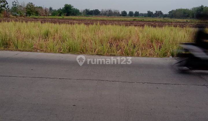 Lahan Industri Dijual di Kemlagi Mojokerto 1