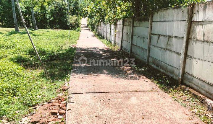 For Sale Land 2 Are Five Plot Of Land At Banyu Biru Jembrana Bali 2