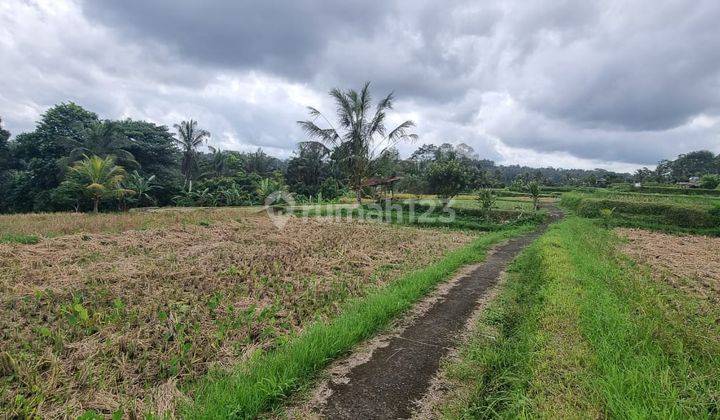 Land For Sale At Tegallalang Ubud Gianyar Bali 2