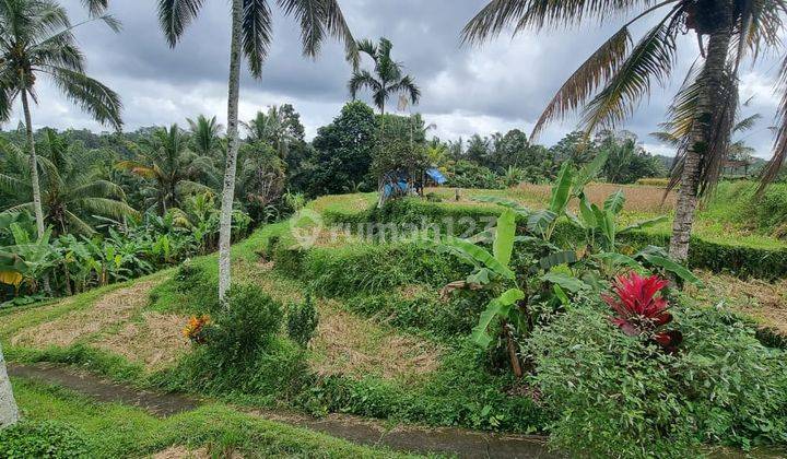 Land For Sale At Tegallalang Ubud Gianyar Bali 1