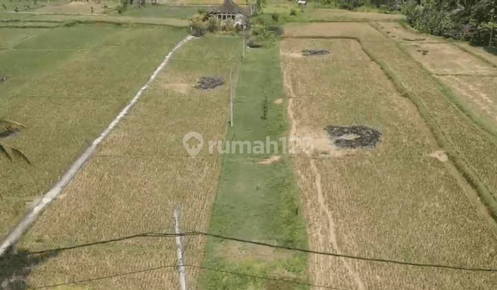 Land For Sale At Tunduh Lot Ubud Gianyar Bali 1