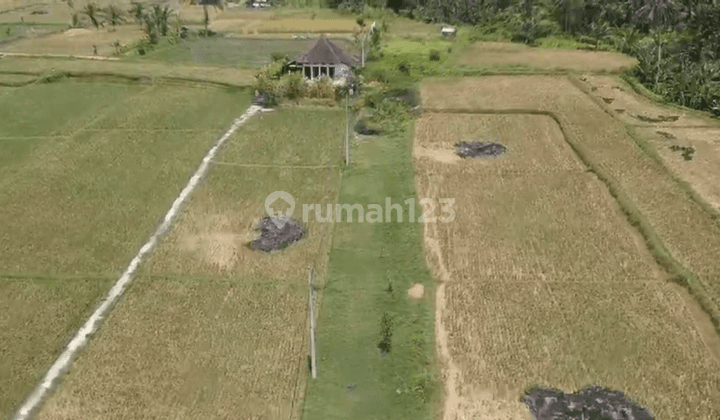 Land For Sale At Tunduh Lot Ubud Gianyar Bali 2