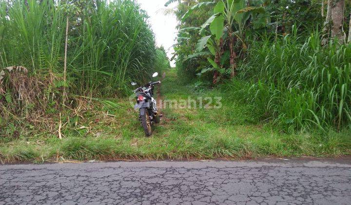 Land for sale in Central Ubud Gianyar Bali 2