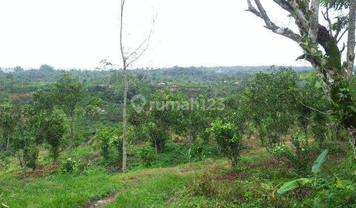 Land for sale in Central Ubud Gianyar Bali 1