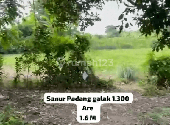 Land For Sale At Padang Galak Sanur Bali 1