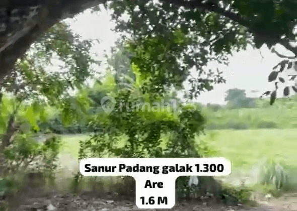 Land For Sale At Padang Galak Sanur Bali 2