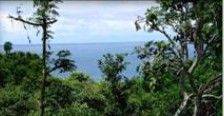 LAND FOR SALE LOCATION JIMBARAN BEACH NEXT TO AYANA RESORT BALI 2