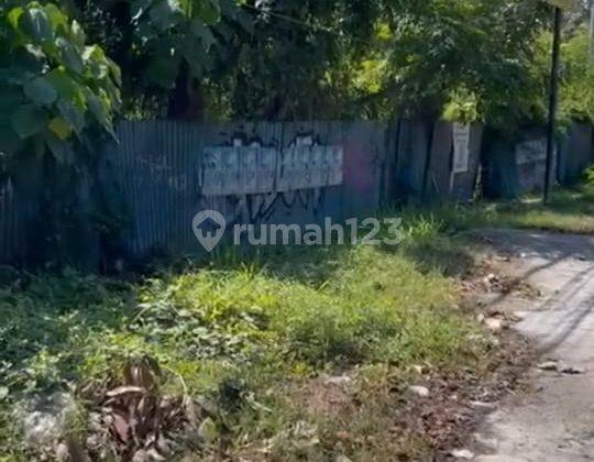 Land For Sale At Saba Gianyar Bali 2