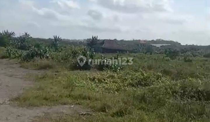 Land For Sale At Siyut Gianyar Bali 1