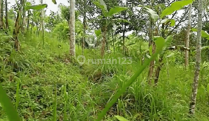 Land For Sale At Payangan Ubud Bali 2