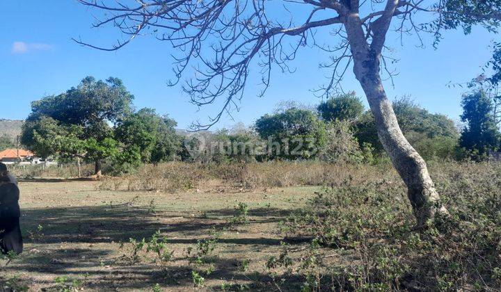 Land For Sale At Balangan Beach 1