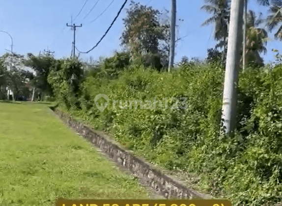 Land For Sale At Pering Beach 1