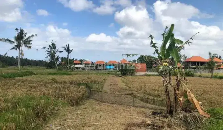 Land For Sale At Sukawati, Ketewel, Gianyar  1