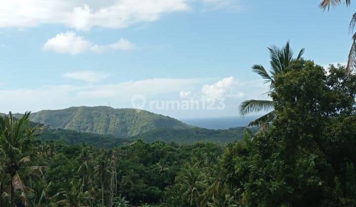 Land For Sale In Dawan Village, Klungkung 1