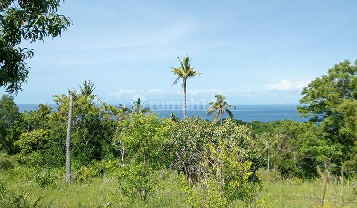 Land For Sale With Cliff View At Nusa Penida Bali 1