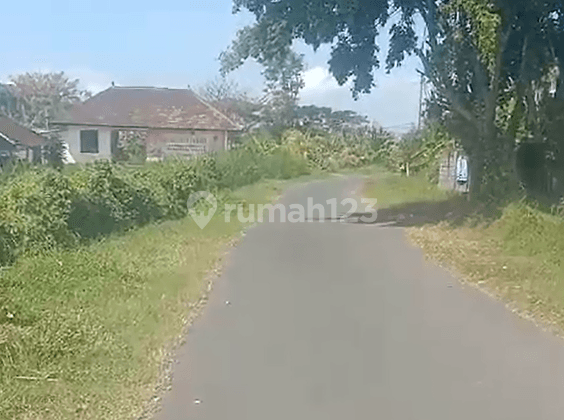 Land For Sale At Klungkung Bali 2