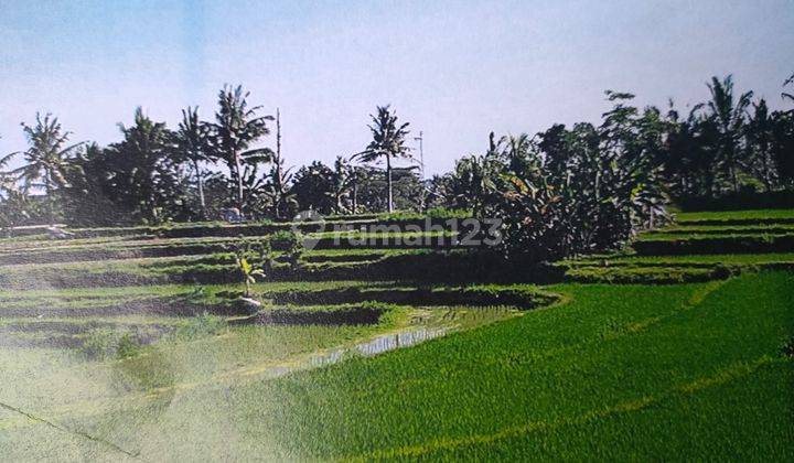 Land For Sale At Siyut Gianyar Bali 1