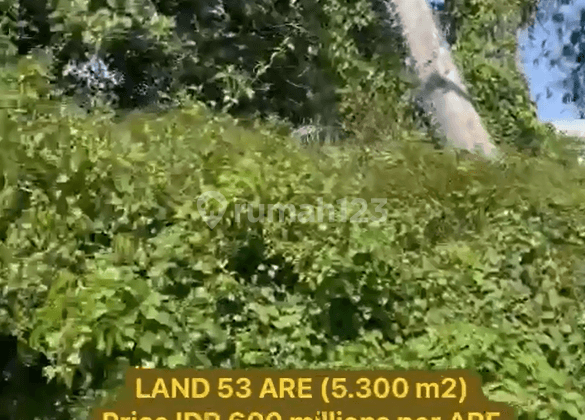 Land For Sale At Pering Beach 2