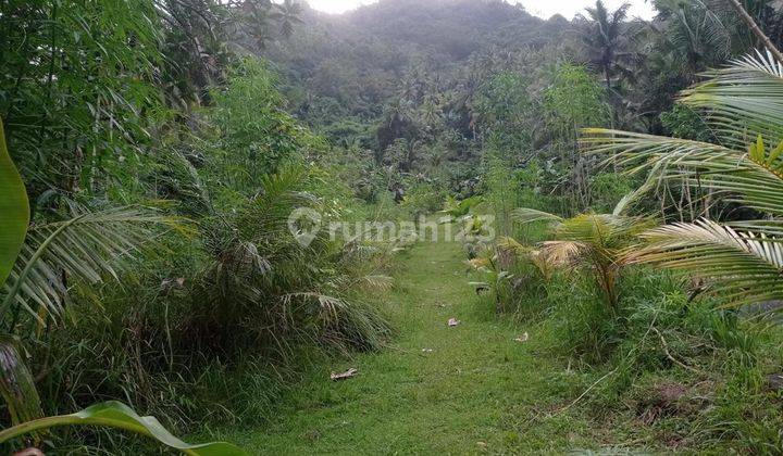 Land For Sale In Dawan Village, Klungkung 2