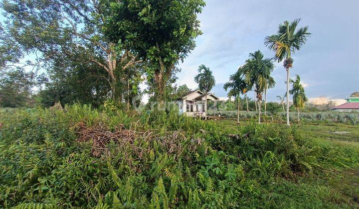 Tanah di jalan Madu sari Sudah ada akses jalan 2