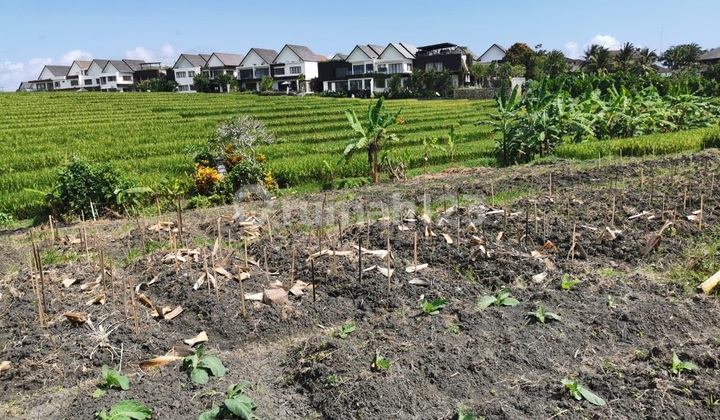 Tanah Dijual Bali, Luas 600 Meter, Kode :21428 Li