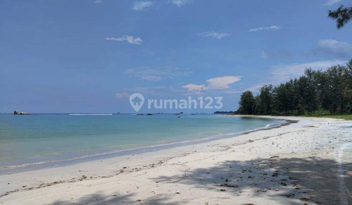 Dijual Tanah Ekslusif Resort Di Pantai Trikora, Kepri Riau (13ha) 2