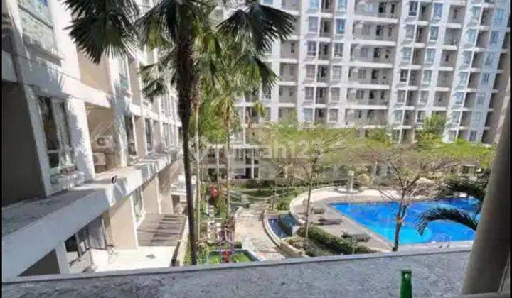 Apartement East Coast Residence 1 BR Furnished Bagus View Pool 1