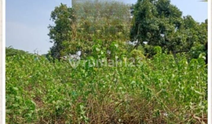 Land in Rengasdengklok Near Rengasdengklok Hospital Land in Rengasdengklok Near Rengasdengklok Hospital