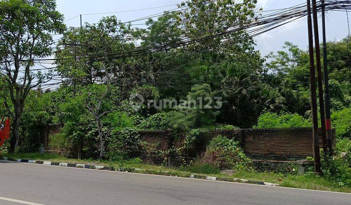 Kavling Komersial 11.000 M² Hanya Semenit Dari Tol Rangkasbitung, Di Entry/Exit Tol Rangkas Bitung Di Jalan Raya 2