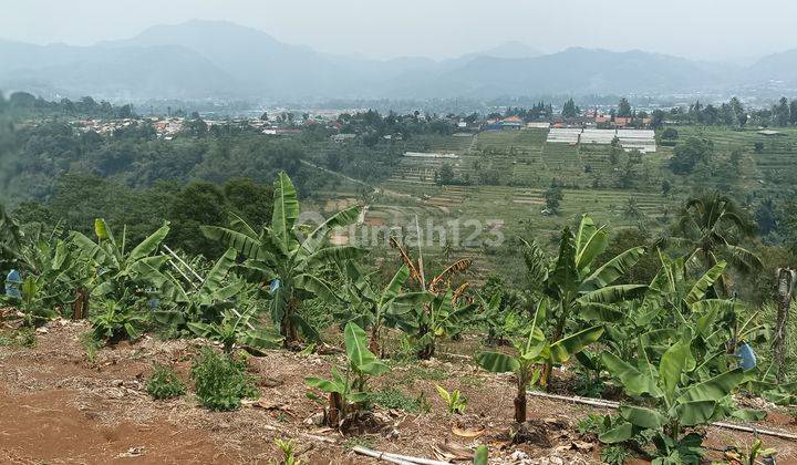 Tanah Murah Di Puncak Kavling Estetis Harga Minimalis 1