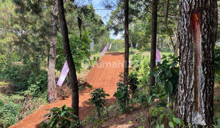 Tanah Murah Di Puncak Lokasi Strategis Harga Minimalis 1