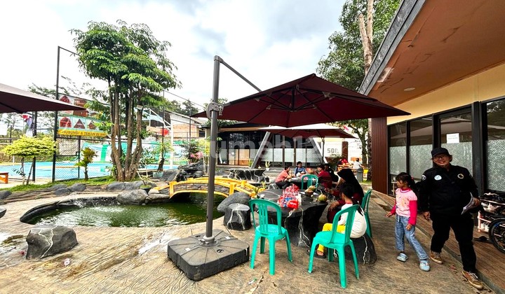 KAVLING SAWAH MURAH BELI HARI INI BISA PANEN PADI SENDIRI 1
