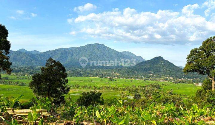 Investasi Tanah Murah Di Puncak Area Wisata 1