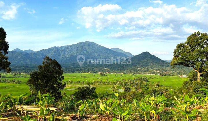 Investasi Tanah Murah Strategis Di Puncak 1