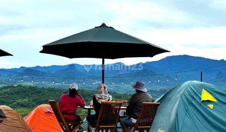 Investasi Tanah Di Puncak Pas Untuk Perkebunan 1