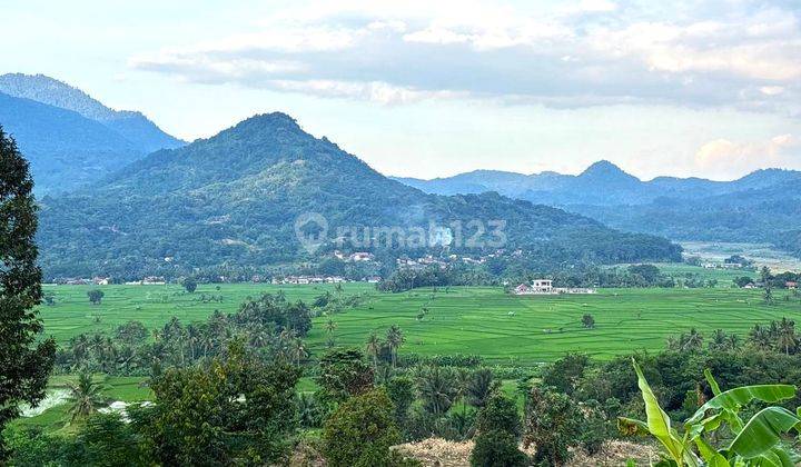 Investasi Kavling Murah Area Wisata Di Puncak 2