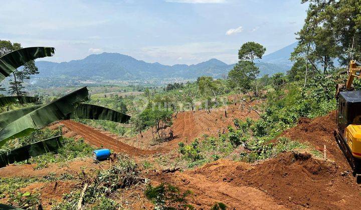 Tanah Murah Di Puncak Cipanas Investasi Berkelas Harga Pantas 1