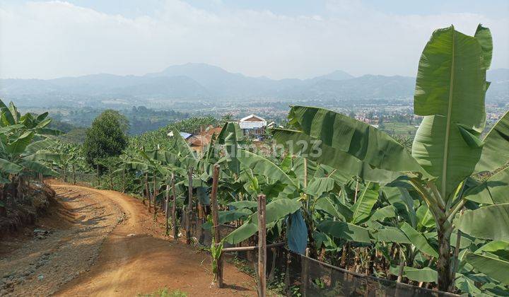 Tanah Murah Di Puncak Kavling Estetis Harga Ekonomis 1